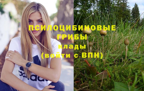 соль курить ск Балахна