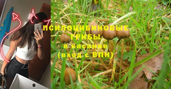 ешки Богданович
