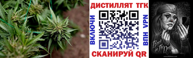 Дистиллят ТГК Wax  Невель 