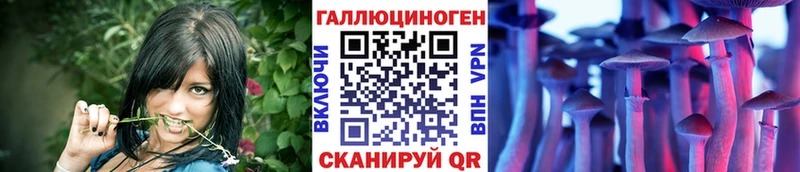 Псилоцибиновые грибы GOLDEN TEACHER  где продают   Невель 